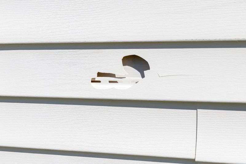 Patch Work on Vinyl Siding